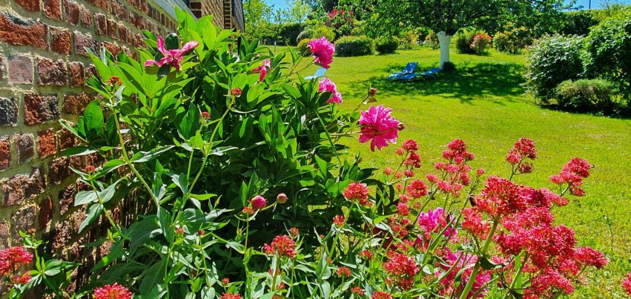 Bed and Breakfast Les Mout'Anes Saint-Hilaire-sur-Helpe Esterno foto