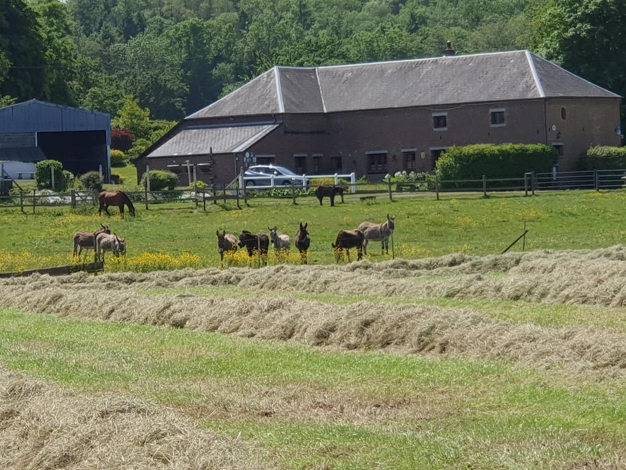 Bed and Breakfast Les Mout'Anes Saint-Hilaire-sur-Helpe Esterno foto