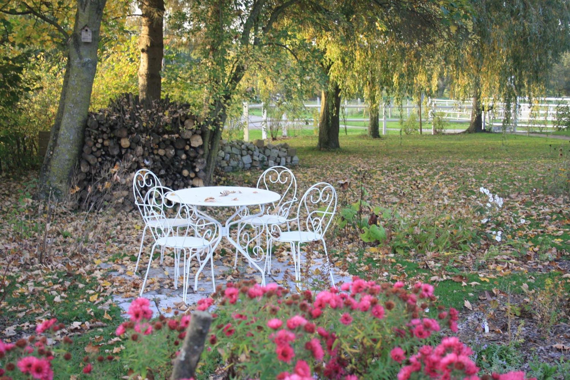 Bed and Breakfast Les Mout'Anes Saint-Hilaire-sur-Helpe Esterno foto