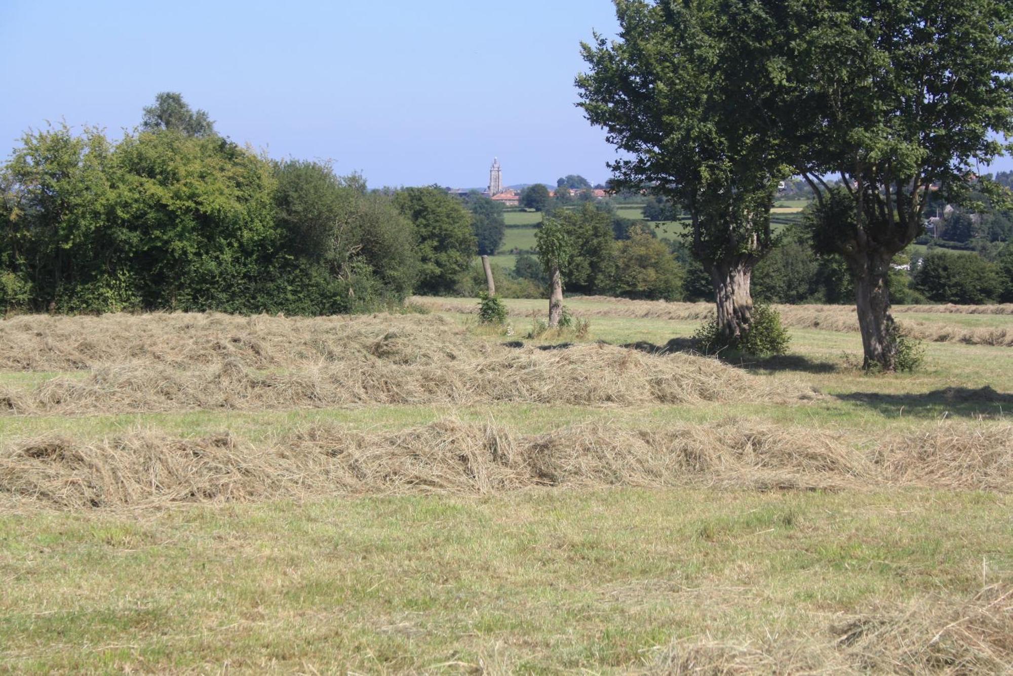Bed and Breakfast Les Mout'Anes Saint-Hilaire-sur-Helpe Esterno foto